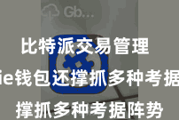 比特派交易管理  Bitpie钱包还撑抓多种考据阵势