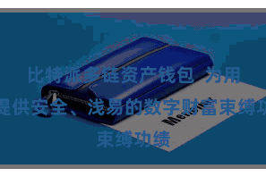 比特派多链资产钱包  为用户提供安全、浅易的数字财富束缚功绩