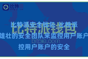 比特派安全钱包  比特派成就了雄壮的安全团队来监控用户账户的安全