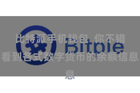 比特派手机钱包  你不错看到各式数字货币的余额信息