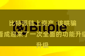 比特派链上资产  该哄骗看成迎来了一次全面的功能升级