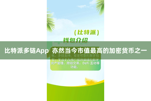 比特派多链App  亦然当今市值最高的加密货币之一