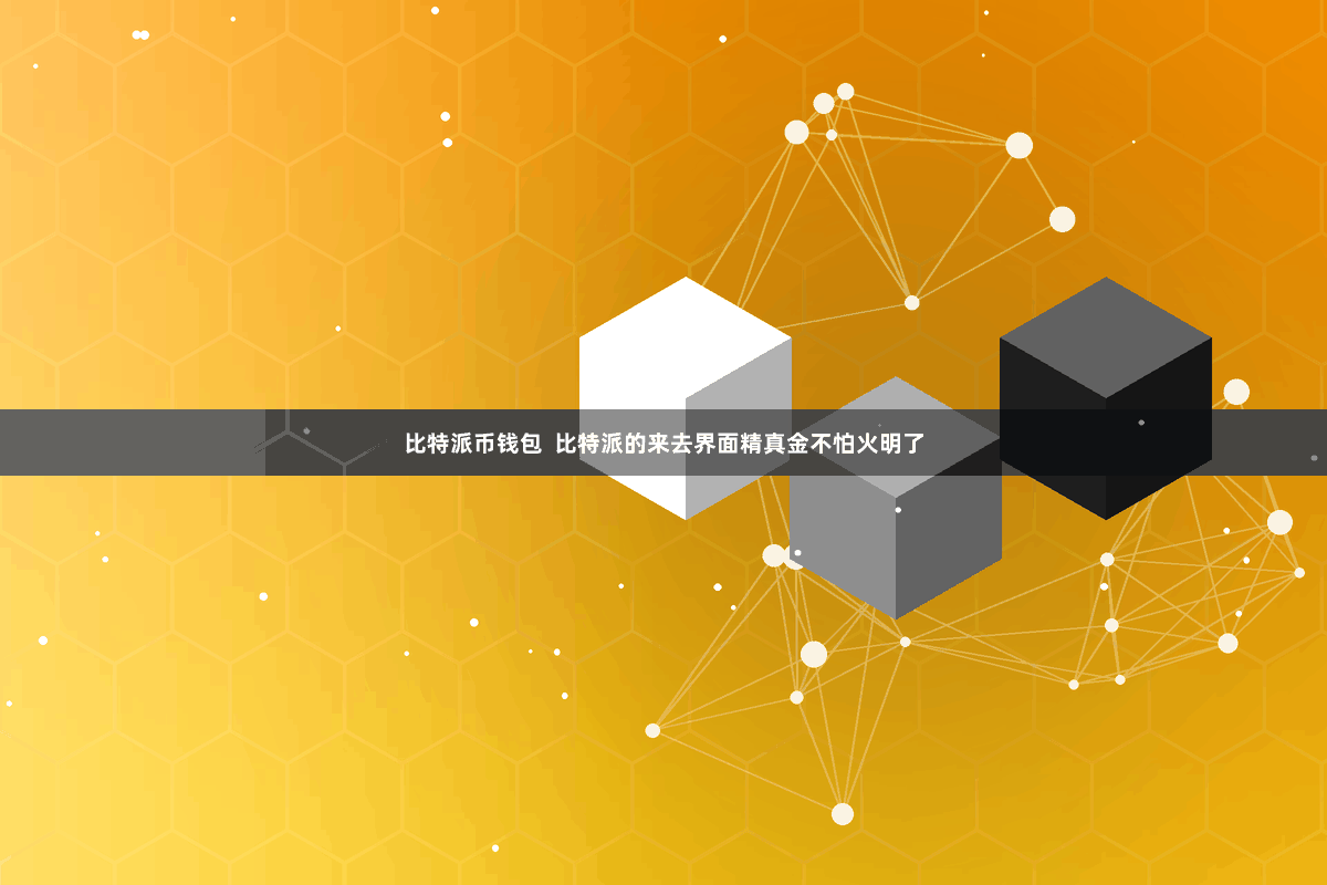 比特派币钱包  比特派的来去界面精真金不怕火明了
